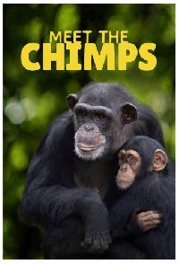 Welcome to Chimp Haven